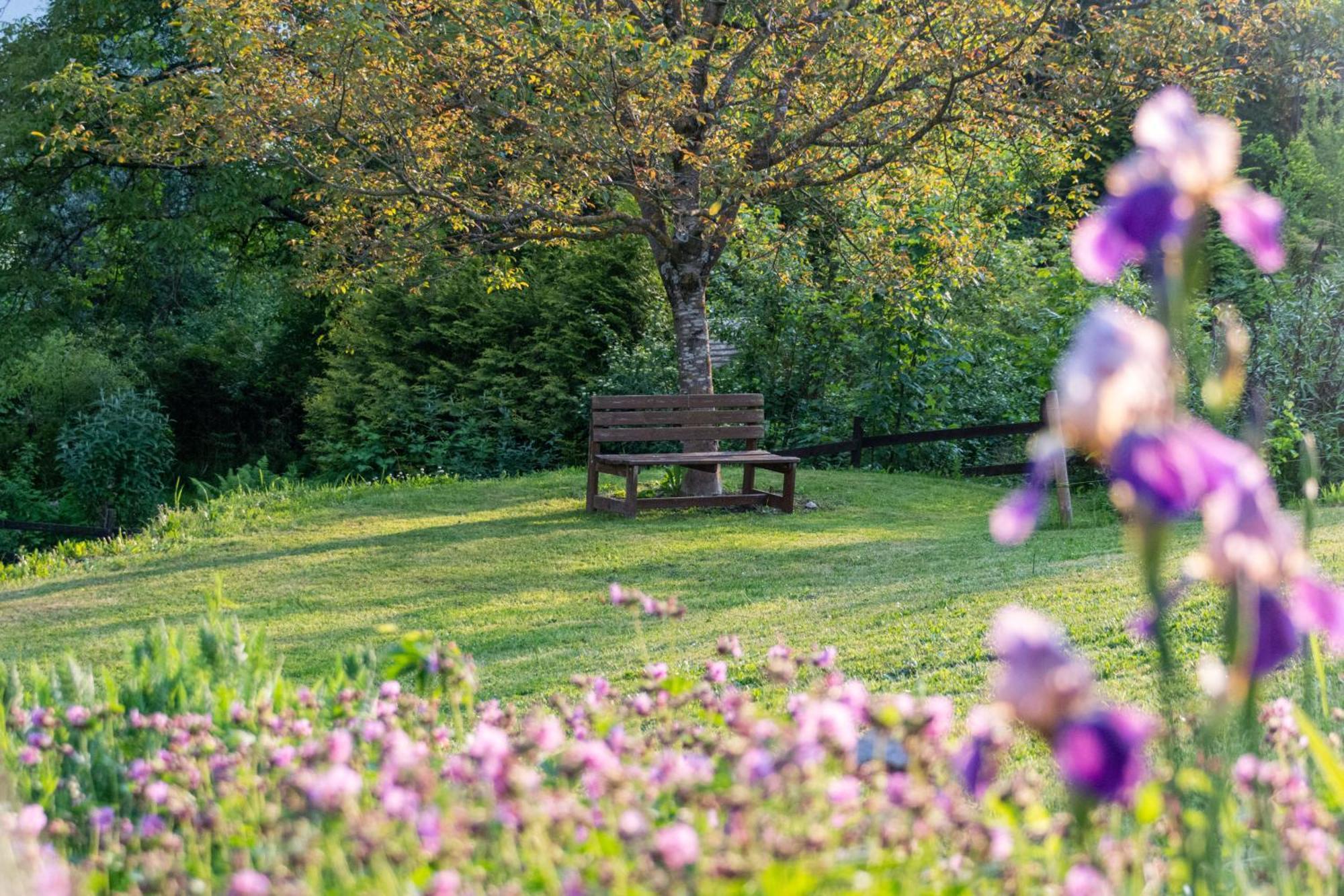 Gartenlodge Auszeit Nötsch Εξωτερικό φωτογραφία