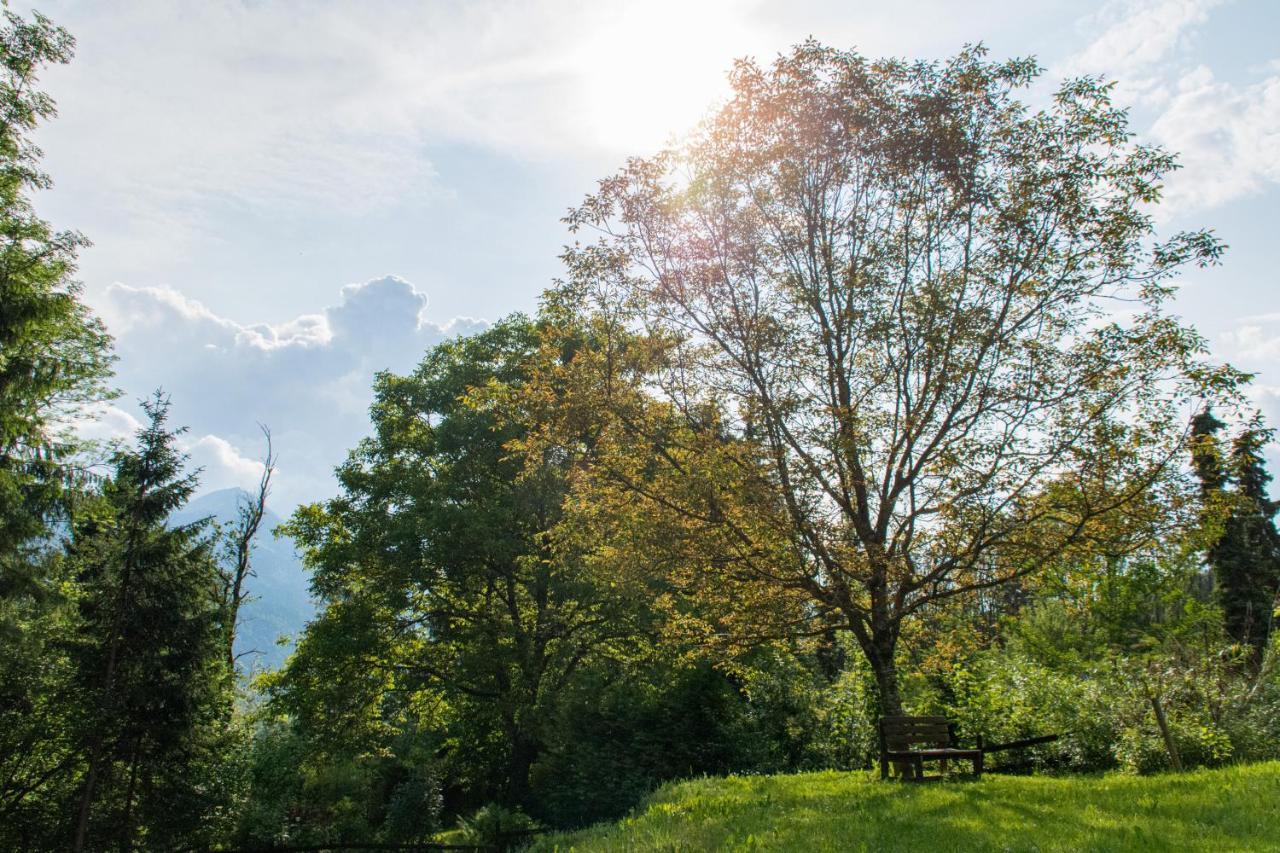 Gartenlodge Auszeit Nötsch Εξωτερικό φωτογραφία